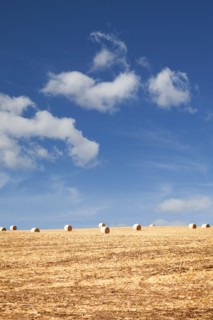USA, Iowa, Latimer, Hay bales on field. Photo : Sarah M. Golonka