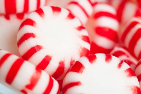 Red and white candies, studio shot. Photo : Sarah M. Golonka