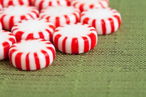 Red and white candies, studio shot. Photo : Sarah M. Golonka