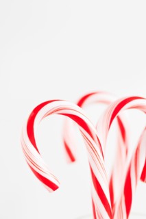 Red and white candy canes, studio shot. Photo : Sarah M. Golonka