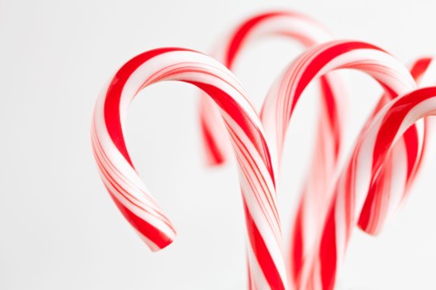Red and white candy canes, studio shot. Photo : Sarah M. Golonka