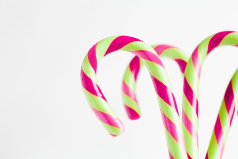 Red and white candy canes, studio shot. Photo : Sarah M. Golonka