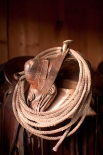 Close-up of saddle with rope. Photo : John Kelly