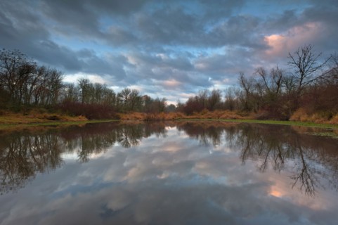 USA, Oregon, Marion County, Trees and clouds reflecting in lake. Photo : Gary Weathers