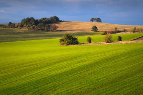 USA, Oregon, Polk County, View of green hills. Photo : Gary Weathers
