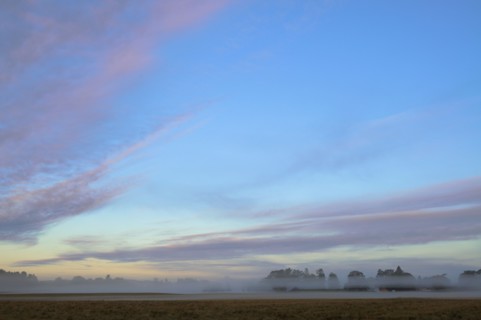 USA, Oregon, Marion County, Foggy morning. Photo : Gary Weathers