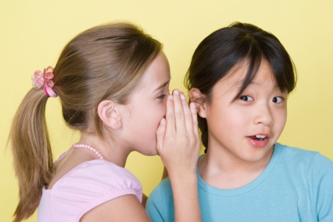 Studio portrait of teenage (16-17) girls gossiping. Photo : Rob Lewine