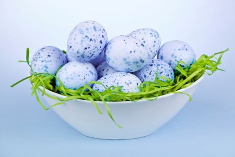 Blue Easter eggs in bowl, studio shot. Photo :  Elena Elisseeva