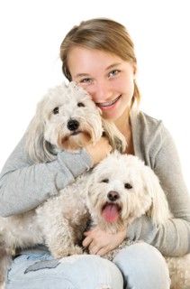 Portrait of teenage girl with puppies of cotton de tulear. Photo : Elena Elisseeva