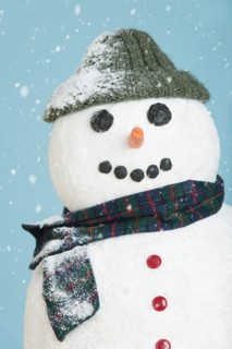 Studio shot of snowman.