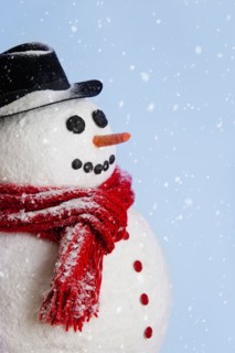 Studio shot of snowman.