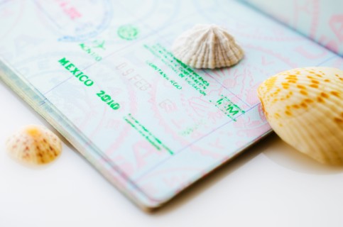 Studio shot of passport with seashells.