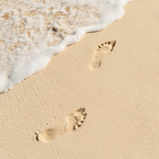 Mexico, Yucatan. Footprints on beach.