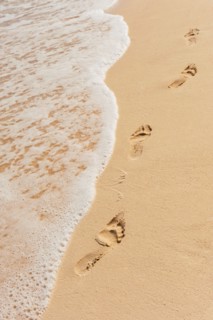 Mexico, Yucatan. Footprints on beach.