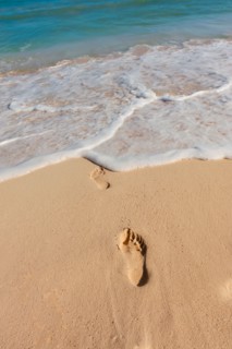 Mexico, Yucatan. Footprints on beach.