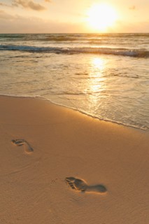 Mexico, Yucatan. Footprints on beach at sunset.