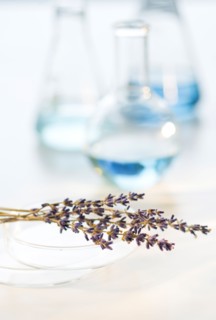 Lavender in laboratory.