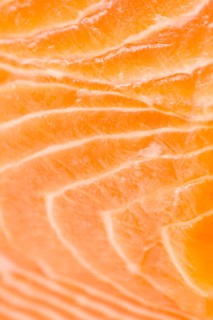 Close up of salmon meat, studio shot. Photo : Jamie Grill