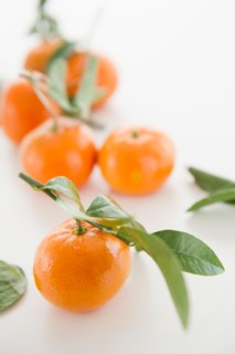 Close up of tangerines with leaves, studio shot. Photo : Jamie Grill