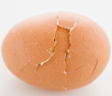 Close up of egg with cracked shell, studio shot. Photo : Jamie Grill