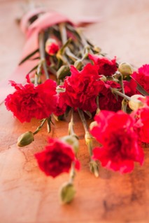 Close up of Valentine's Day flowers, studio shot. Photo : Daniel Grill