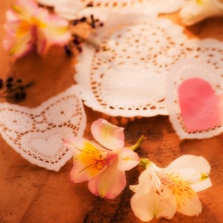 Close up of Valentine's Day decorations, studio shot. Photo : Daniel Grill