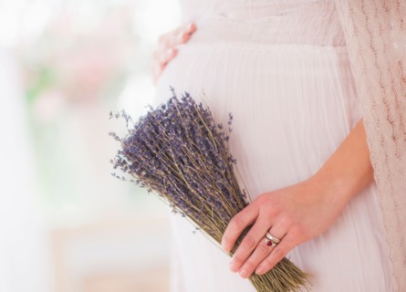 Pregnant woman holding bunch of lavender. Photo : Daniel Grill