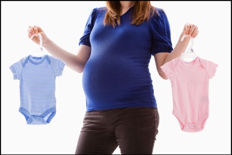 Studio Shot of mid section of pregnant woman holing baby onesie. Photo : Mike Kemp