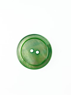 Studio shot of single green button. Photo : David Arky
