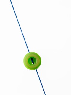 Studio shot of single green button on thread. Photo : David Arky