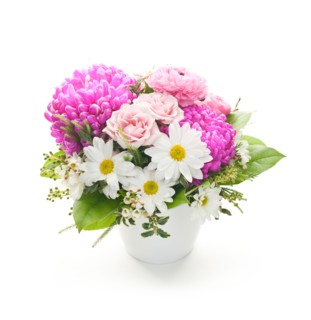 Studio shot of bouquet. Photo : Elena Elisseeva