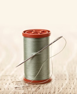 Spool of thread and needle. Photo : Elena Elisseeva