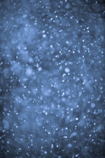 Snowflakes. Photo : Elena Elisseeva