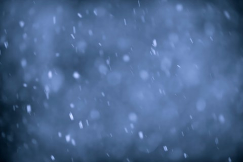 Snowflakes. Photo : Elena Elisseeva
