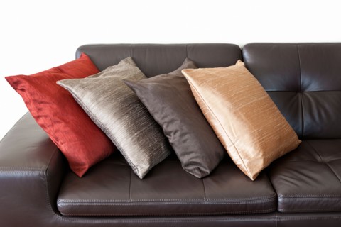 Close-up studio shot of leather sofa and cushions. Photo : Elena Elisseeva