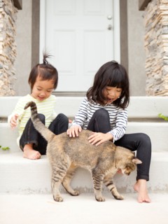 Two sisters (2-3, 4-5) playing with cat. Photo : Jessica Peterson
