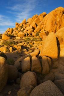 USA, California, Joshua Tree National Park, Rock formations.
