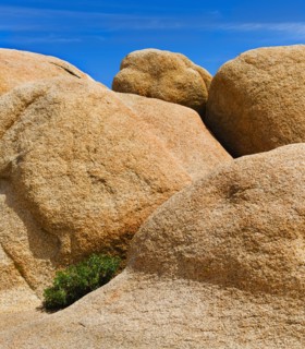 USA, California, Joshua Tree National Park, Rock formations.