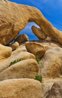 USA, California, Joshua Tree National Park, Arch rock.