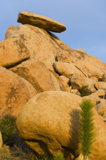 USA, California, Joshua Tree National Park, Rock formations.