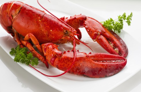 Cooked lobster.