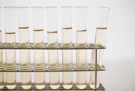 Liquid in test tubes. 
Photo : Jamie Grill