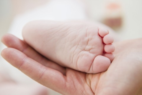 Close up of mother's hand holding baby daughter's (6-11 months) foot. 
Photo : Jamie Grill