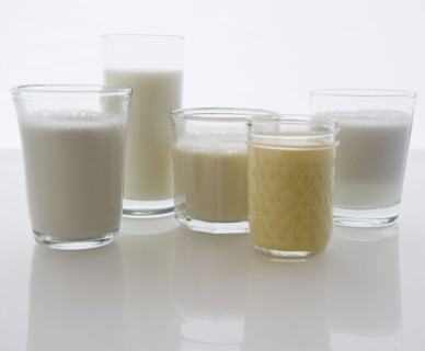 Close up of glasses with different kinds of milk. 
Photo : Jamie Grill