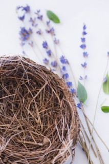 Close up of straw bird's nest and lavender, studio shot. 
Photo: Daniel Grill