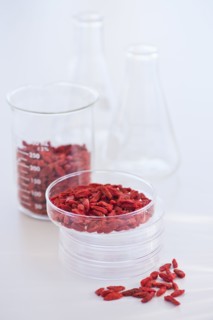 Close up of goji berries in laboratory glassware, studio shot. 
Photo : Daniel Grill
