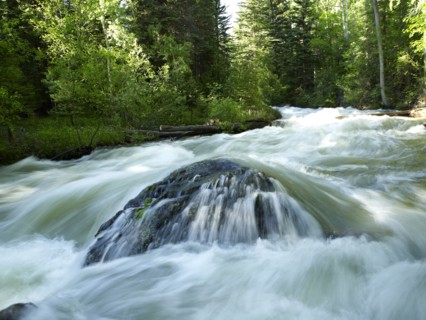 USA, Colorado, Mountain creek in forest. 
Photo : John Kelly