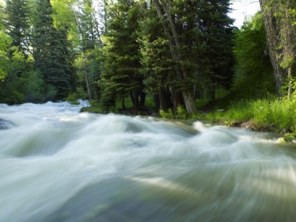 USA, Colorado, Mountain creek in forest. 
Photo : John Kelly
