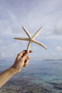 United States Virgin Islands, St. John, Starfish held by female hand. 
Photo: Winslow Productions