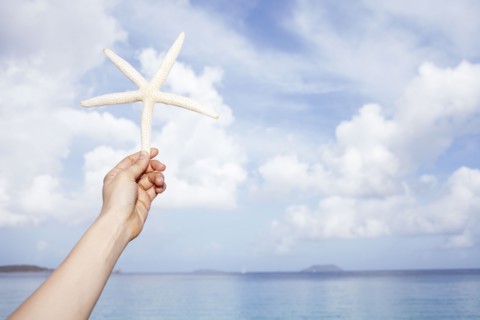 United States Virgin Islands, St. John, Starfish held by female hand. 
Photo: Winslow Productions